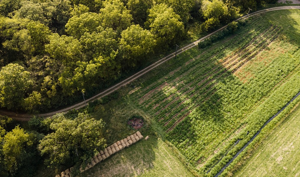Aerial view of a green farm plot near a dirt road and a dense forest.